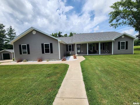 Tiny photo for 1009 TROLLEY Street, Eldorado, IL 62930 (MLS # QC4265347)