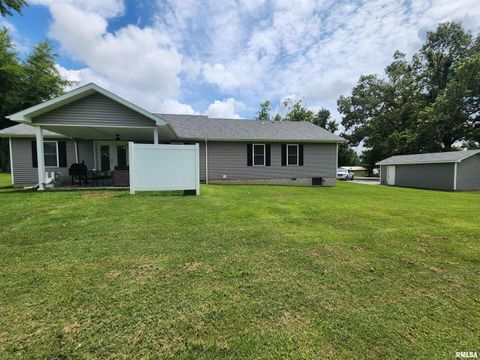 Tiny photo for 1009 TROLLEY Street, Eldorado, IL 62930 (MLS # QC4265347)