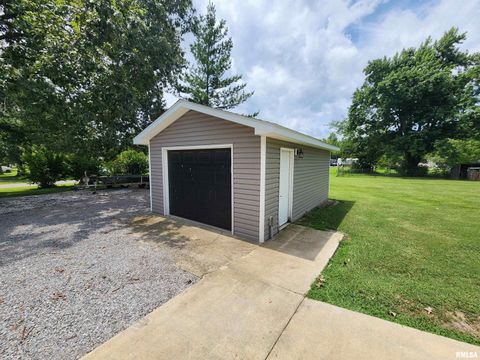 Tiny photo for 1009 TROLLEY Street, Eldorado, IL 62930 (MLS # QC4265347)