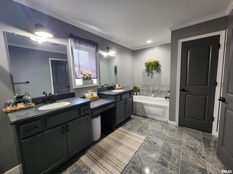 Tiny photo for 1009 TROLLEY Street, Eldorado, IL 62930 (MLS # QC4265347)