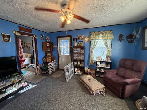 Tiny photo for 804 E LAFAYETTE Street, Olney, IL 62450 (MLS # EB460612)