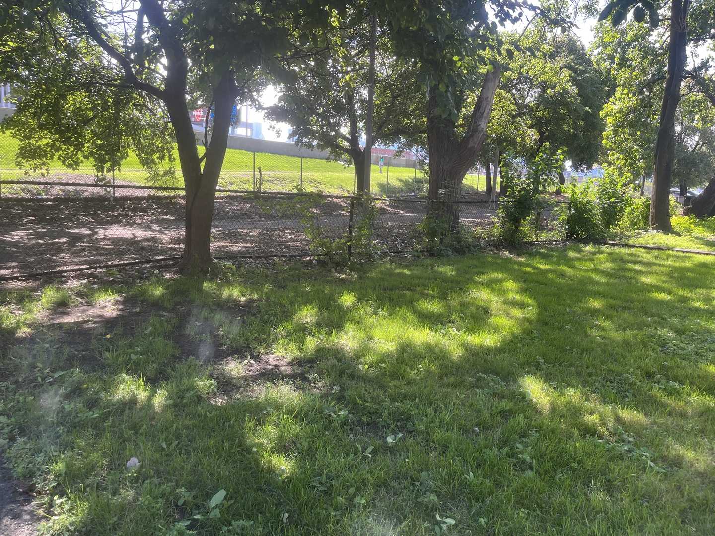 Chicago, Illinois 60622, United States, ,Land,Contingent,208757