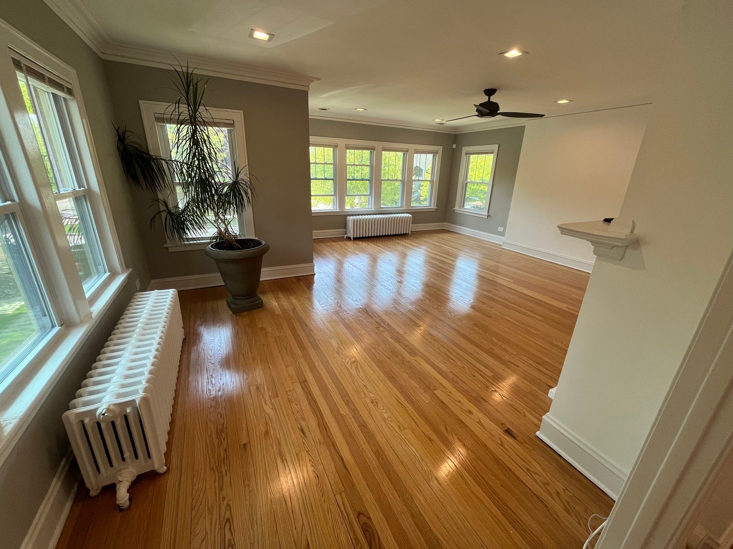 1123 Bonnie Brae Place