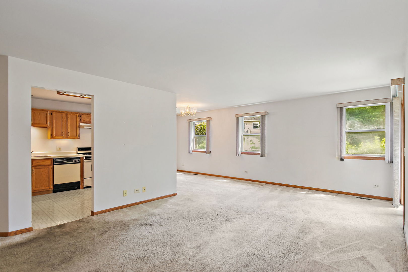 2403 Mallow Court Z1
