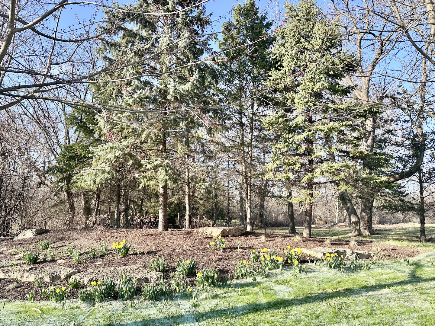 Lot 1 Abbey Woods Drive