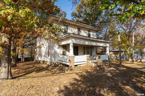 Tiny photo for 1250 E PARK Street, Carbondale, IL 62901 (MLS # EB455822)