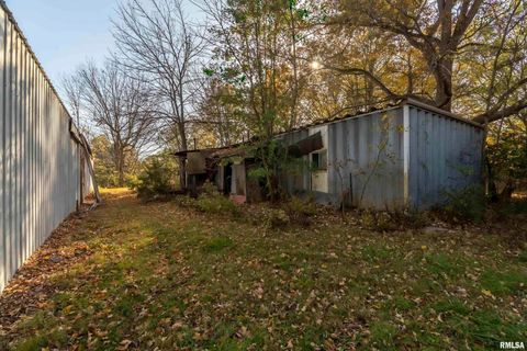 Tiny photo for 1250 E PARK Street, Carbondale, IL 62901 (MLS # EB455822)