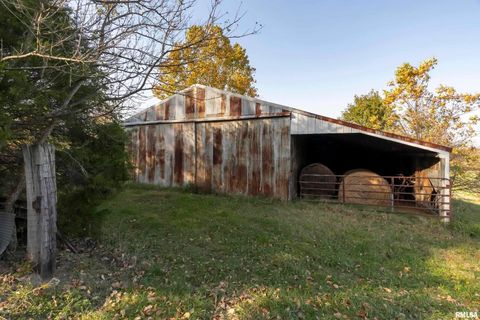 Tiny photo for 1250 E PARK Street, Carbondale, IL 62901 (MLS # EB455822)