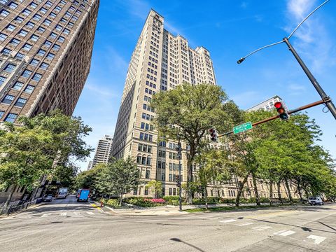 1500 N Lake Shore Drive 23C Chicago IL 60610
