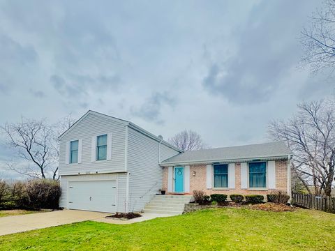 2232 Hitching Post Lane Schaumburg IL 60194