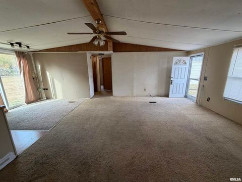 Tiny photo for 507 Wortby Street, Odin, IL 62870 (MLS # EB460453)