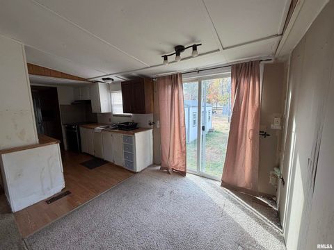 Tiny photo for 507 Wortby Street, Odin, IL 62870 (MLS # EB460453)