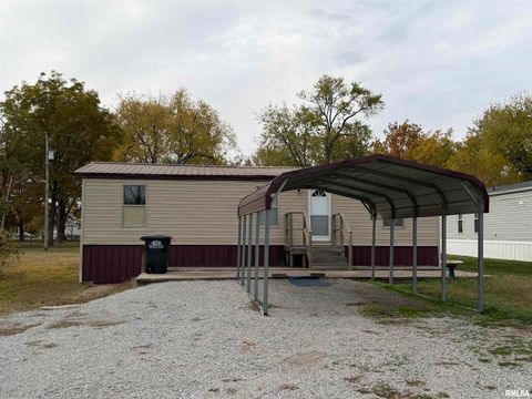 Tiny photo for 507 Wortby Street, Odin, IL 62870 (MLS # EB460453)