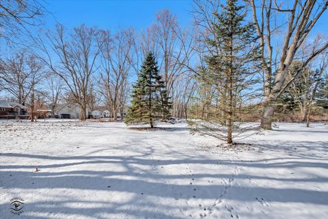 Tiny photo for 23336 S Kings Road, Steger, IL 60475 (MLS # 12521339)