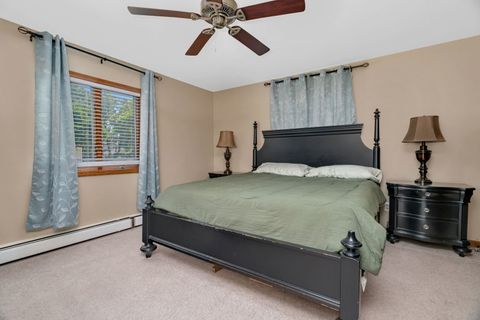 Tiny photo for 485 Trotter Drive, Coal City, IL 60416 (MLS # 12462788)