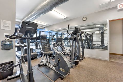 Tiny photo for 1069 W 14th Place #329, Chicago, IL 60608 (MLS # 12612847)