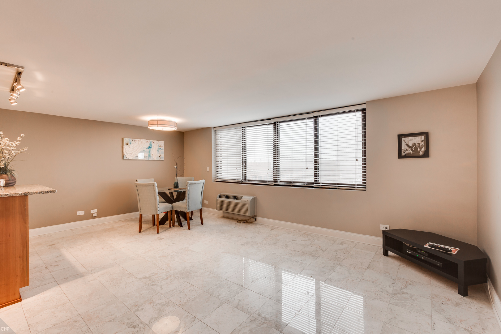 1221 N Dearborn Parkway 1210S