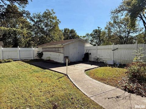 Tiny photo for 1400 CATHERINE Street, Metropolis, IL 62960 (MLS # EB460240)