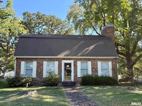 Photo of 1400 CATHERINE Street, Metropolis, IL 62960 (MLS # EB460240)