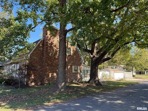 Tiny photo for 1400 CATHERINE Street, Metropolis, IL 62960 (MLS # EB460240)