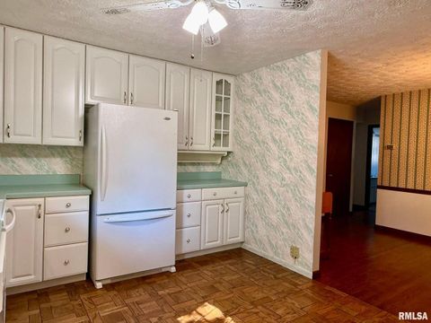 Tiny photo for 1400 CATHERINE Street, Metropolis, IL 62960 (MLS # EB460240)