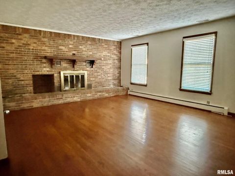 Tiny photo for 1400 CATHERINE Street, Metropolis, IL 62960 (MLS # EB460240)