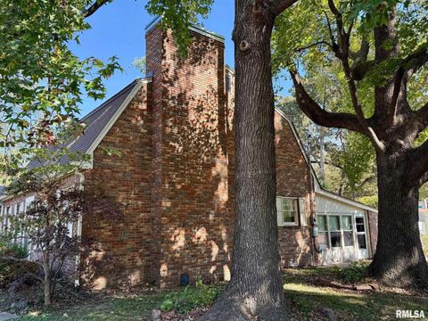 Tiny photo for 1400 CATHERINE Street, Metropolis, IL 62960 (MLS # EB460240)