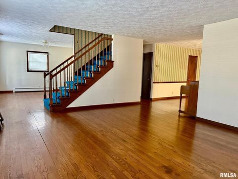 Tiny photo for 1400 CATHERINE Street, Metropolis, IL 62960 (MLS # EB460240)