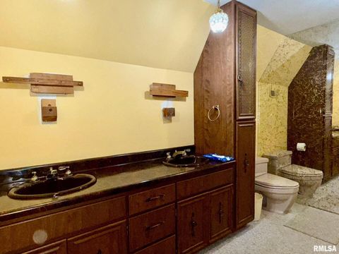 Tiny photo for 1400 CATHERINE Street, Metropolis, IL 62960 (MLS # EB460240)