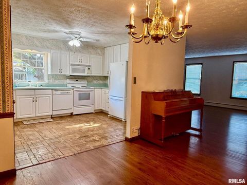 Tiny photo for 1400 CATHERINE Street, Metropolis, IL 62960 (MLS # EB460240)