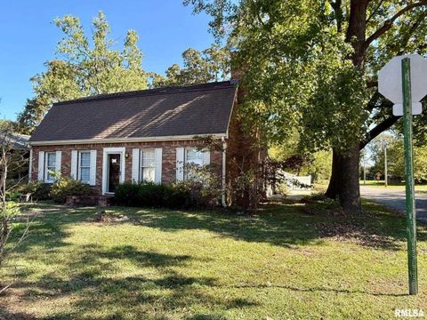 Tiny photo for 1400 CATHERINE Street, Metropolis, IL 62960 (MLS # EB460240)