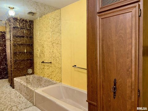 Tiny photo for 1400 CATHERINE Street, Metropolis, IL 62960 (MLS # EB460240)