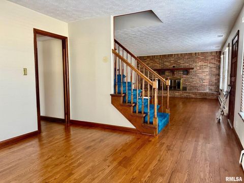 Tiny photo for 1400 CATHERINE Street, Metropolis, IL 62960 (MLS # EB460240)