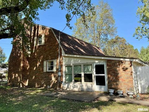 Tiny photo for 1400 CATHERINE Street, Metropolis, IL 62960 (MLS # EB460240)