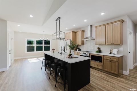 Tiny photo for 704 JONATHAN Lane, Carterville, IL 62918 (MLS # EB459279)