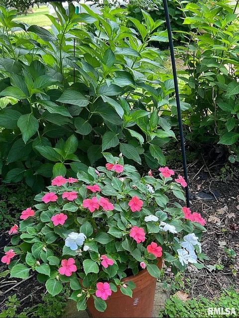 Tiny photo for 44 Marberry Drive, Metropolis, IL 62960 (MLS # EB459810)