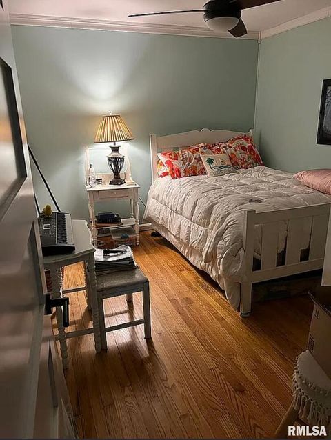 Tiny photo for 44 Marberry Drive, Metropolis, IL 62960 (MLS # EB459810)