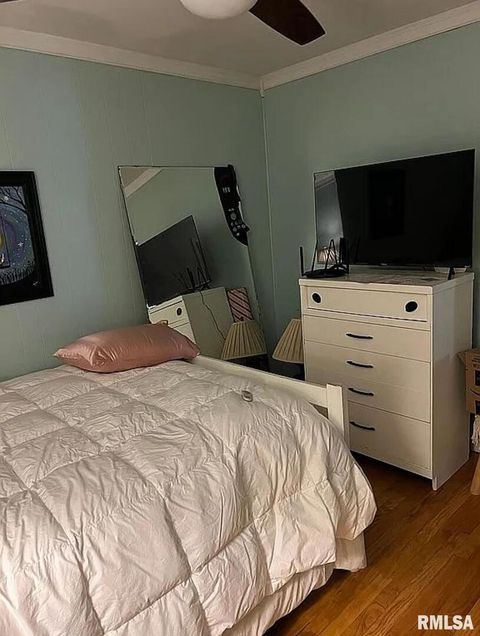 Tiny photo for 44 Marberry Drive, Metropolis, IL 62960 (MLS # EB459810)