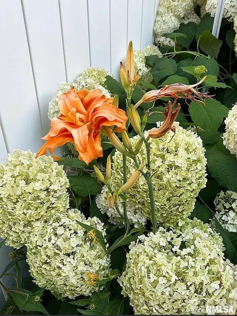 Tiny photo for 44 Marberry Drive, Metropolis, IL 62960 (MLS # EB459810)