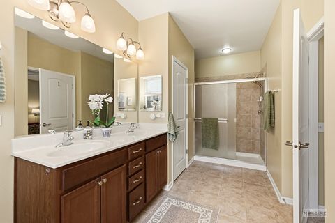 Tiny photo for Oswego, IL 60543 (MLS # 12565792)