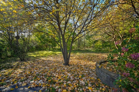 Tiny photo for 2S630 Williams Road, Warrenville, IL 60555 (MLS # 12792279)
