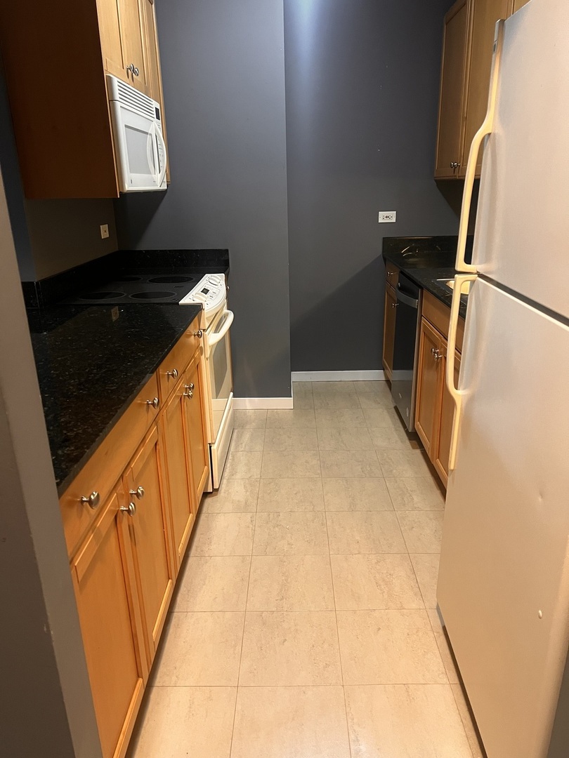 400 N LaSalle Boulevard 1603