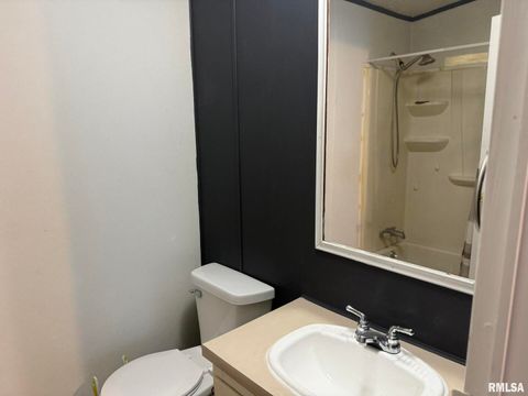 Tiny photo for 1215 FERRY Street, Metropolis, IL 62960 (MLS # EB459928)