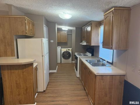 Tiny photo for 1215 FERRY Street, Metropolis, IL 62960 (MLS # EB459928)