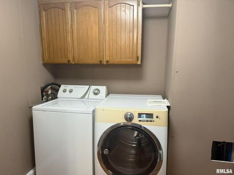 Tiny photo for 1215 FERRY Street, Metropolis, IL 62960 (MLS # EB459928)