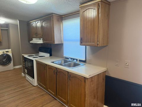 Tiny photo for 1215 FERRY Street, Metropolis, IL 62960 (MLS # EB459928)