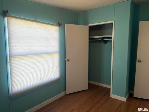 Tiny photo for 1215 FERRY Street, Metropolis, IL 62960 (MLS # EB459928)