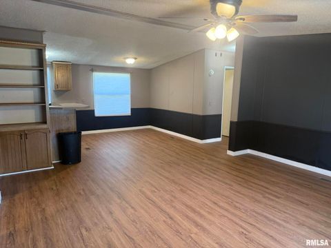 Tiny photo for 1215 FERRY Street, Metropolis, IL 62960 (MLS # EB459928)