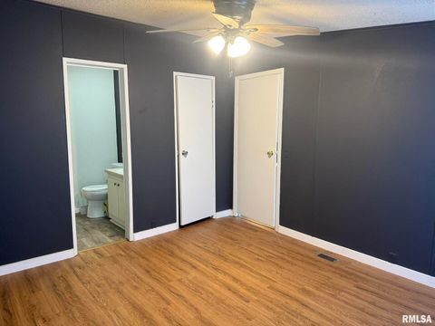 Tiny photo for 1215 FERRY Street, Metropolis, IL 62960 (MLS # EB459928)