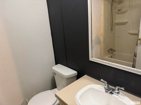 Tiny photo for 1215 FERRY Street, Metropolis, IL 62960 (MLS # EB459928)